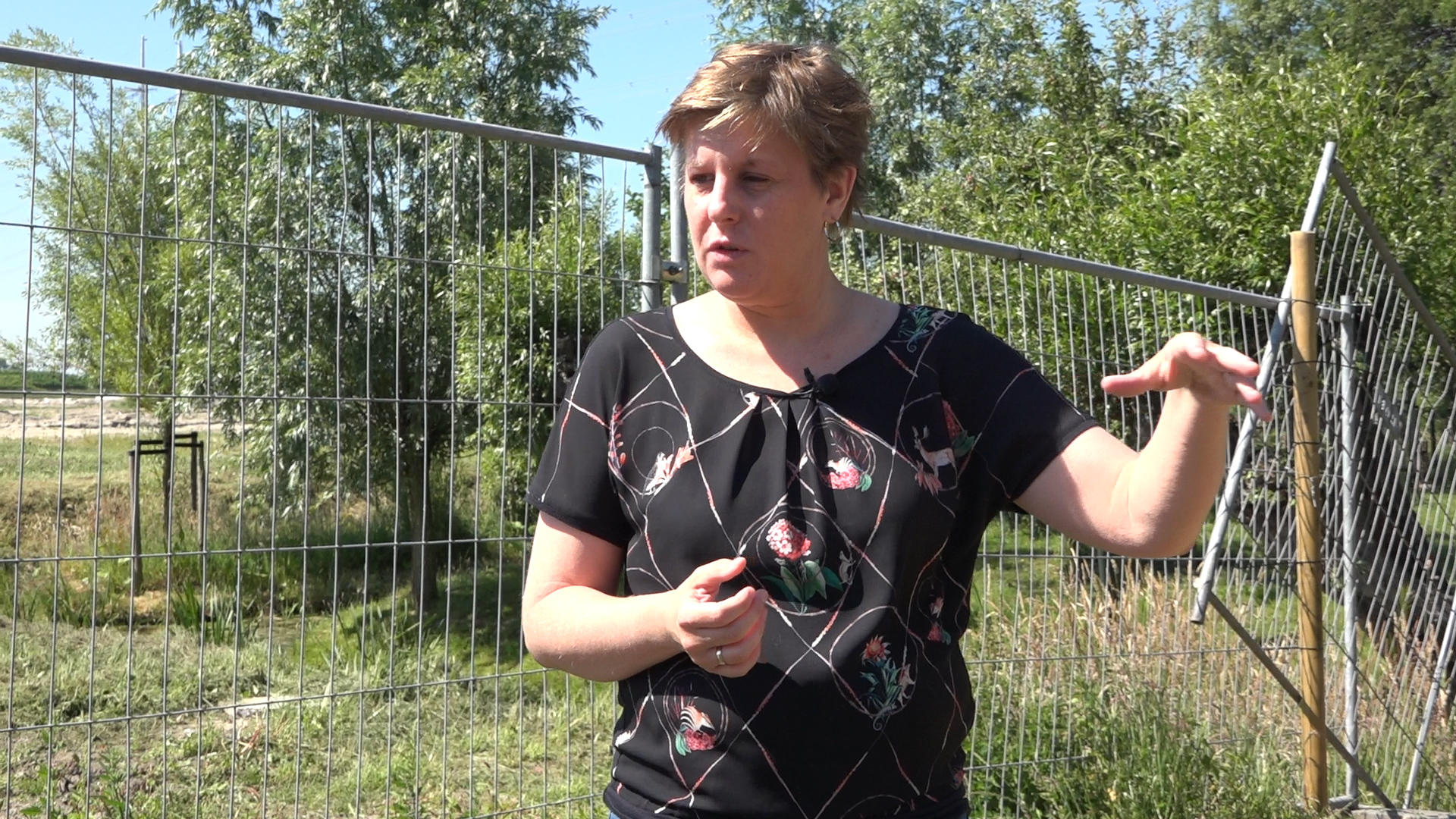 Janneke Noordervliet
